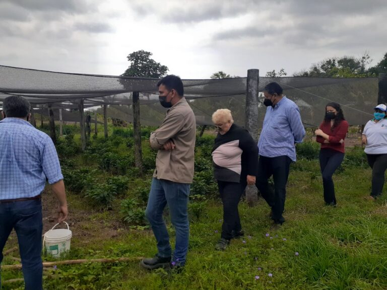 Ministro de la Producción recorrió campos y chacras de productores