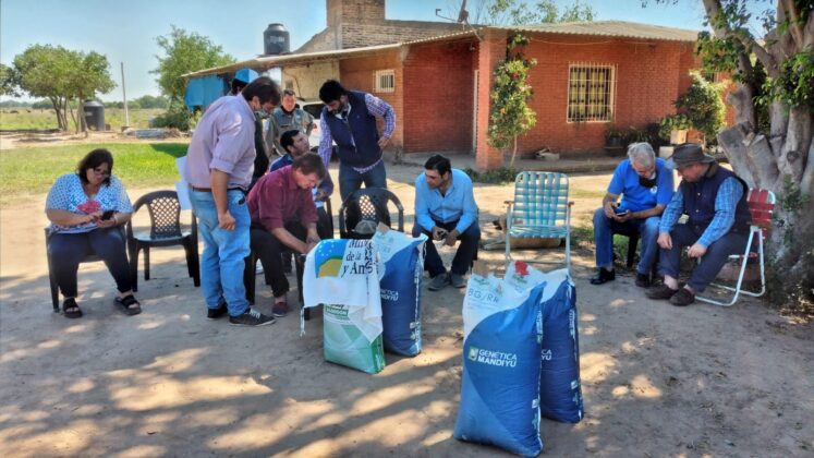 El Gobierno inició la entrega semillas de algodón a productores registrados y con suelo preparado