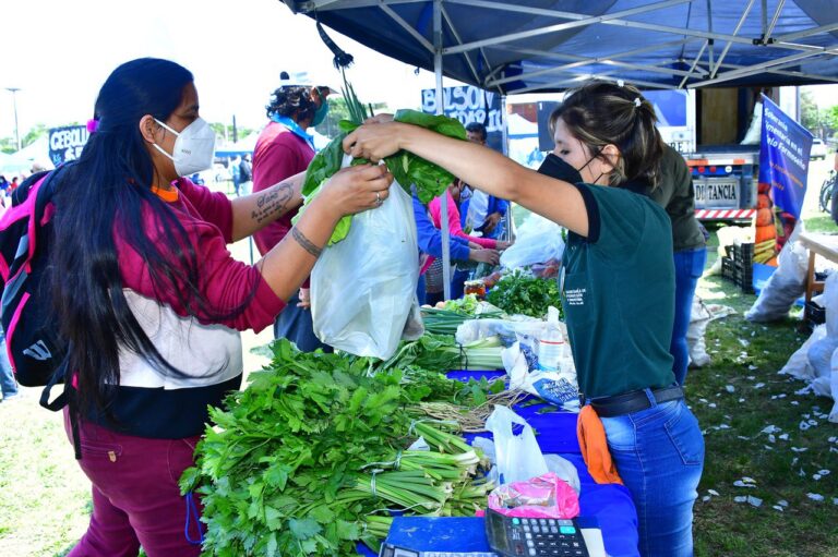 Soberanía Alimentaria Formoseña: Dieron a conocer el calendario semanal de ediciones con primicias de producción paippera