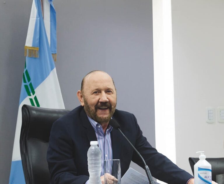 Insfrán agradeció las muestras de afecto en el día de su cumpleaños