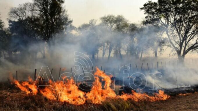 Incendios: se detectaron más de 60 mil puntos calientes en la provincia