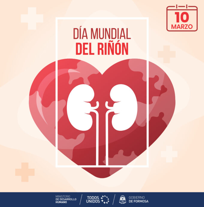 10 de Marzo: Día Mundial del Riñón
