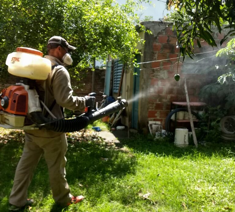 Ante invasión de mosquitos, insisten en eliminar recipientes con agua limpia
