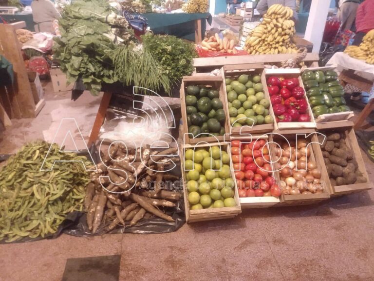 Arribaron productos de estación a la feria PAIPPA del barrio La Paz