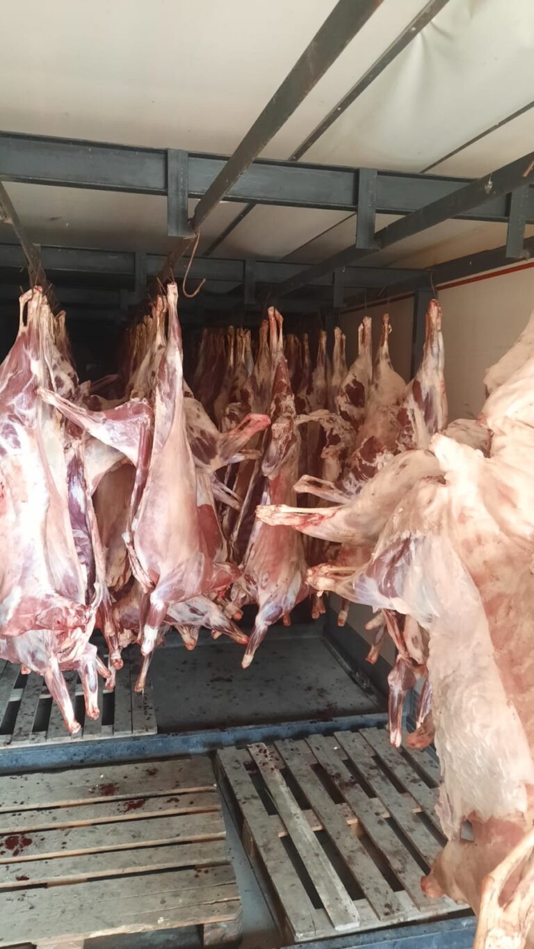 Exitosa venta de cabritos y capones a Soberanía Alimentaria y Ferias Paippa