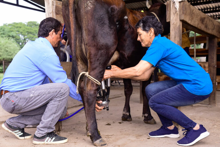 “La Leonor”: establecimiento dedicado a la lechería