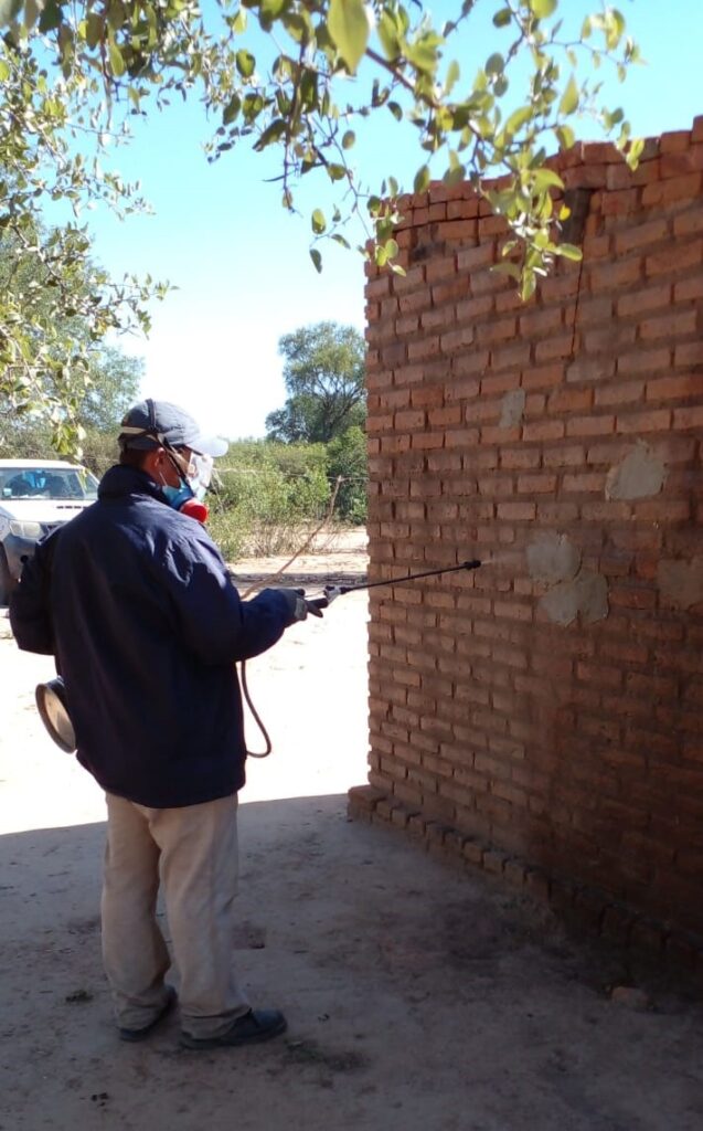 Ingeniero Juárez: Los brigadistas realizan un minucioso trabajo para el control de Chagas