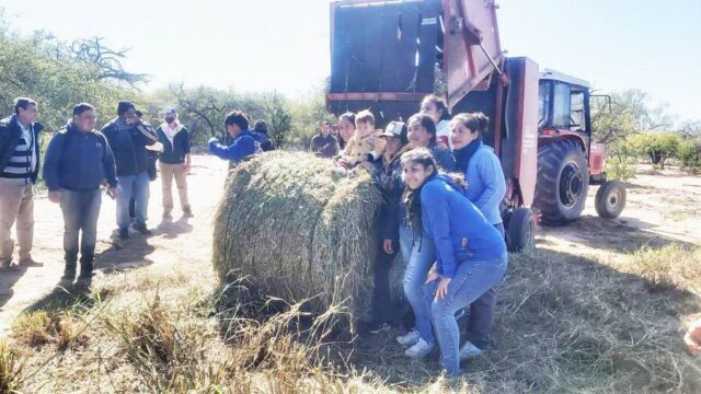 Acciones para producción y conservación de forrajes en El Potrillo