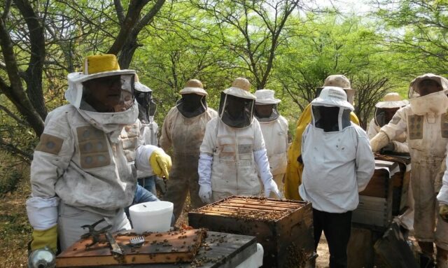El Gobierno provincial inicia el pago a productores de los aportes no reintegrables