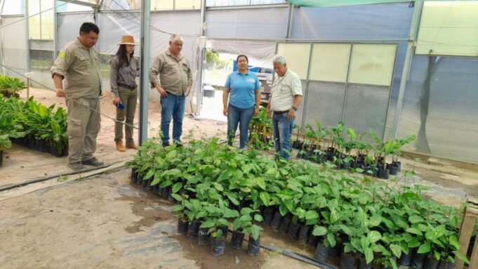 Brindarán asistencia técnica para proyectos productivos frutales