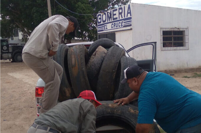 Amplios trabajos contra el dengue en Ingeniero Juárez