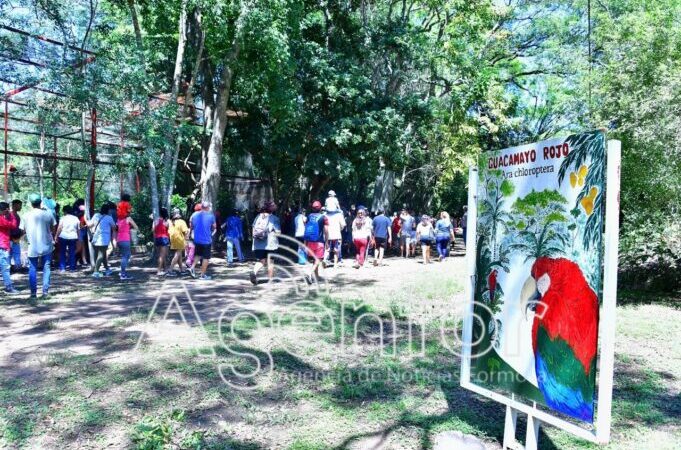 Alrededor de 5 mil personas visitan Guaycolec cada fin de semana