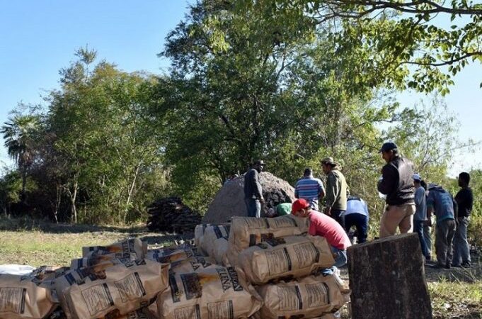 Fischer afirmó que incorporarán al cooperativismo al sector de carbonería