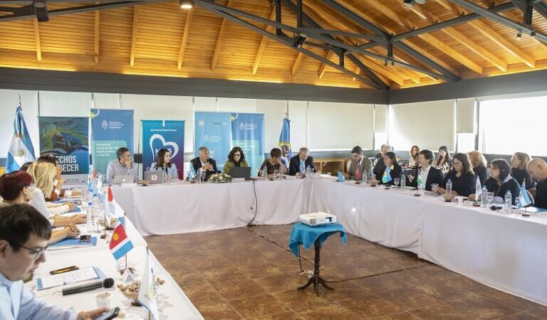 El Gobierno de Formosa presente en el Consejo Federal de Niñez, Adolescencia y Familia en Santa Cruz