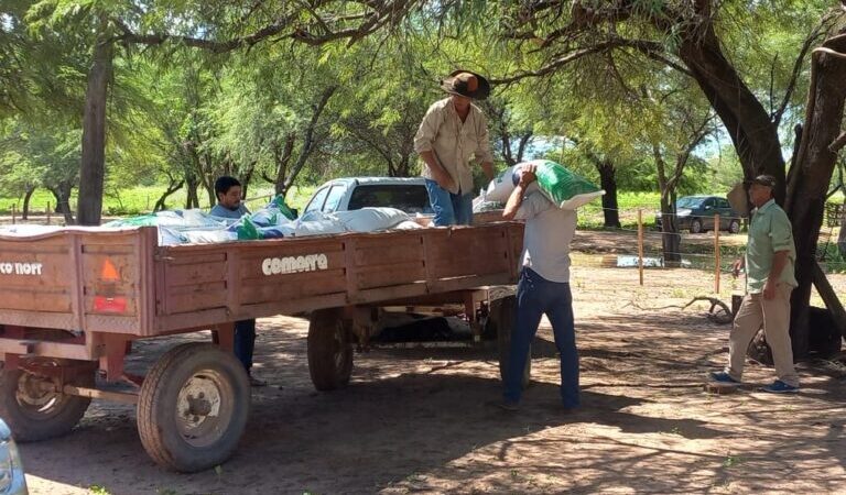 Se llevaron a cabo nuevas acciones de asistencia y diálogo con productores paipperos del centro oeste provincial