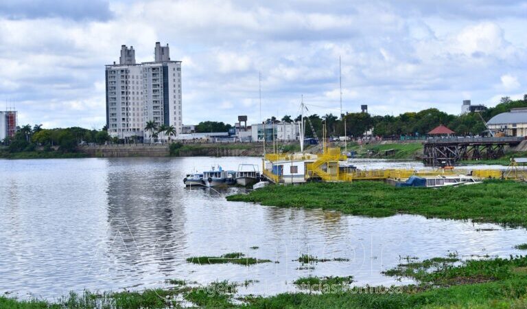 Del Rosso explicó el fenómeno de los “peces muertos” por la creciente de los ríos