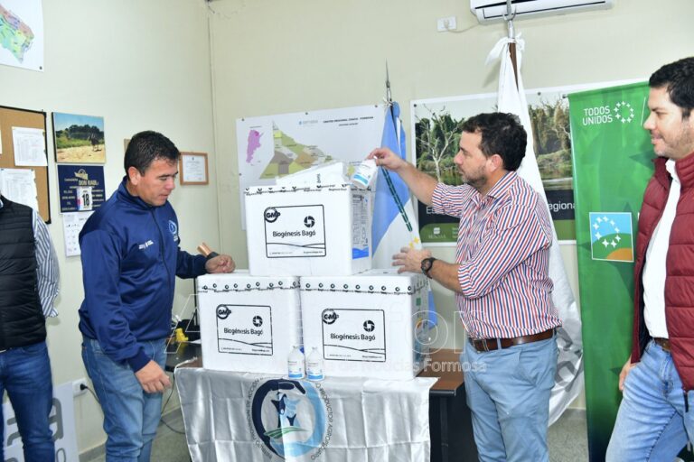 SENASA recibió más de 200 mil dosis de vacunas contra la fiebre aftosa