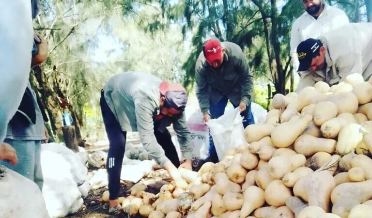 Paipperos entregaron más de 10 mil kilogramos de producción a Nutrir