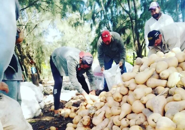 Paipperos entregaron más de 10 mil kilogramos de producción a Nutrir