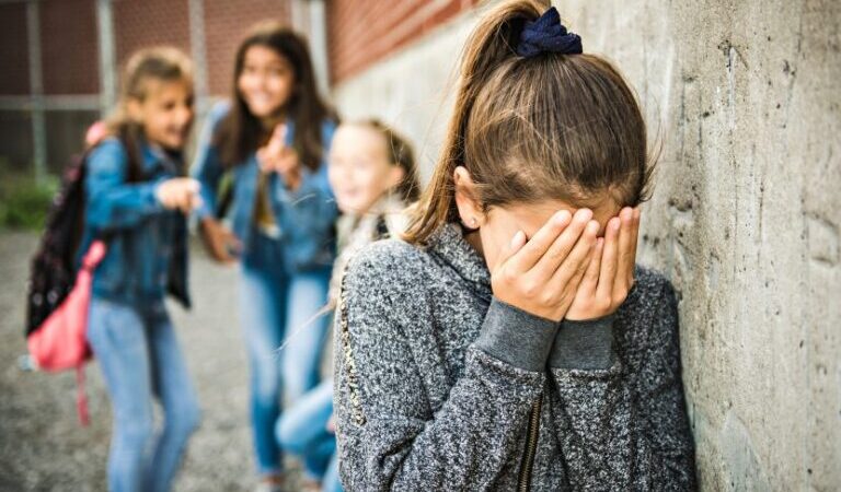 SeTIC, equipo interdisciplinario que trabaja con las instituciones y familias la problemática del bullying