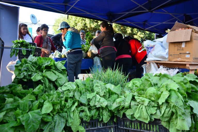 Soberanía Alimentaria Formoseña acercará la venta móvil al barrio San Miguel