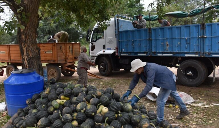 La Universidad Provincial de Laguna Blanca concretó la primera entrega de productos agropecuarios saludables al Plan Nutrir