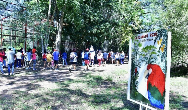 Fin de semana largo en Guaycolec