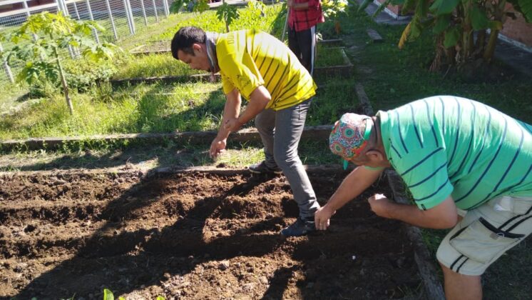 Pacientes de salud mental trabajan en la huerta como espacio terapéutico