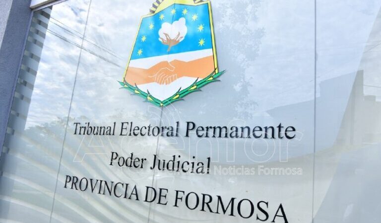El Tribunal Electoral Permanente ya trabaja en el reconocimiento y la oficialización de candidatos