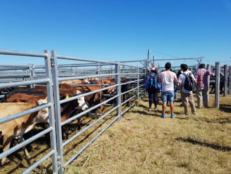 El Gobierno asiste a los productores ganaderos en toda la provincia