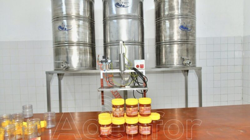 Alrededor de 13 toneladas de miel se produjeron en el Departamento Ramón Lista