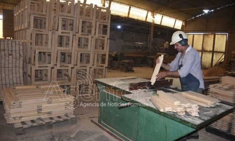 Destacan el “importante” apoyo estatal para potenciar el sector maderero formoseño