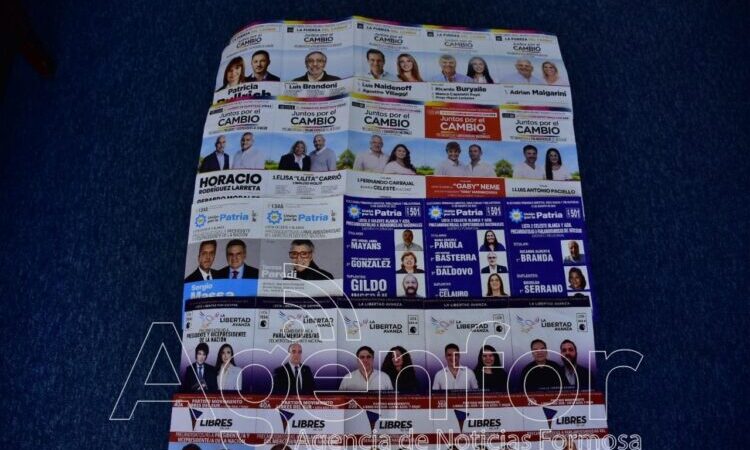 Unos 482.602 electores formoseños están habilitados para votar el próximo domingo en las PASO  
