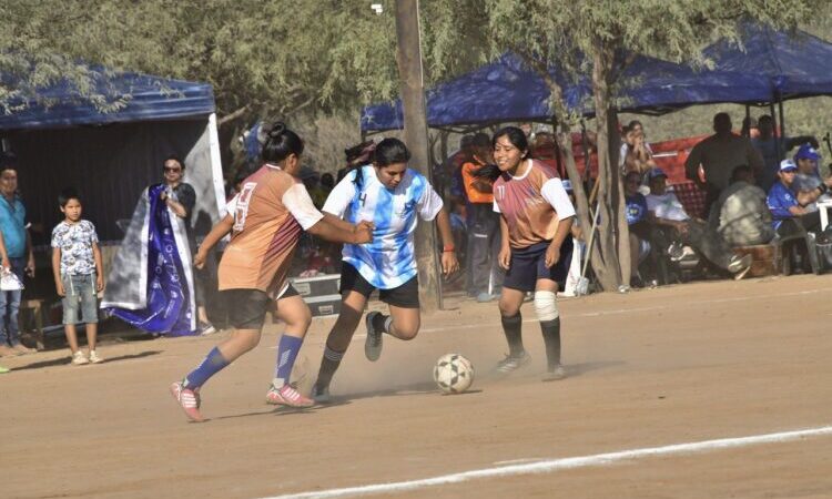 El Potrillo: Comenzó el segundo Torneo de la Amistad “Copa Gildo Insfrán”