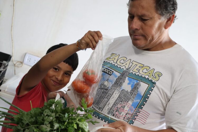 Familias del Plan Nutrir reciben tomates de productores paipperos