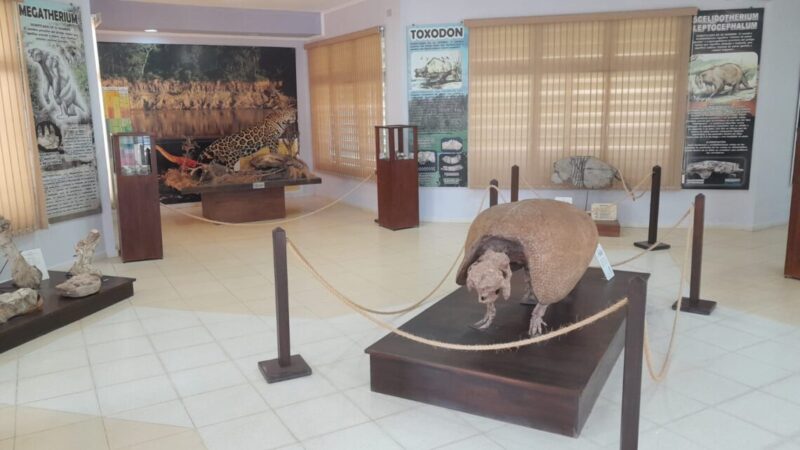 Con un acto, celebrarán el décimo aniversario del Museo Provincial de Ciencias Naturales
