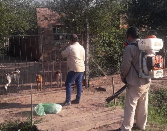 Estanislao del Campo: Continúan sin pausa las actividades destinadas a la prevención del dengue y chikungunya