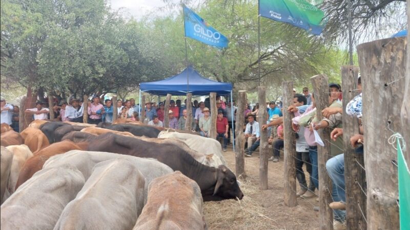 García sobre la Feria Ganadera Paippera: «Es la fiesta de la ganadería formoseña»