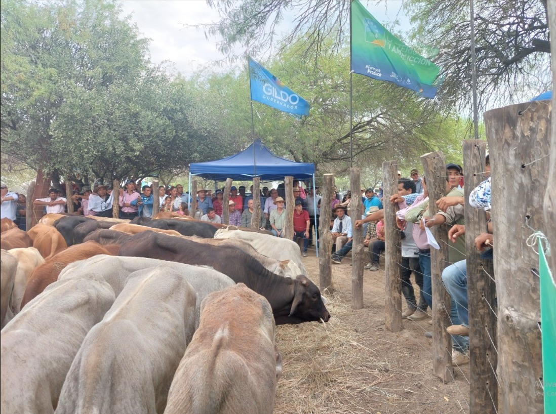 García sobre la Feria Ganadera Paippera: «Es la fiesta de la ganadería formoseña»