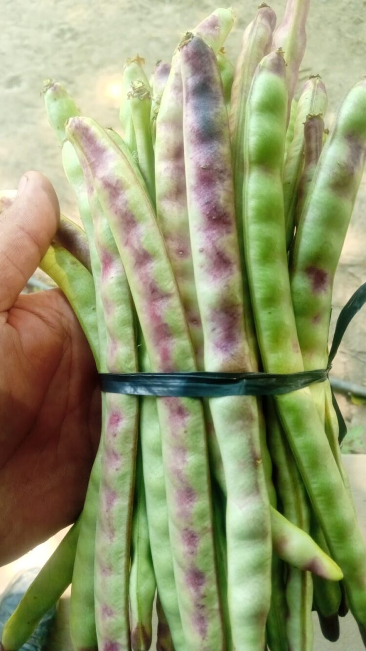 Soberanía Alimentaria Formoseña acercará la venta a los barrios San Antonio y San Juan Bautista