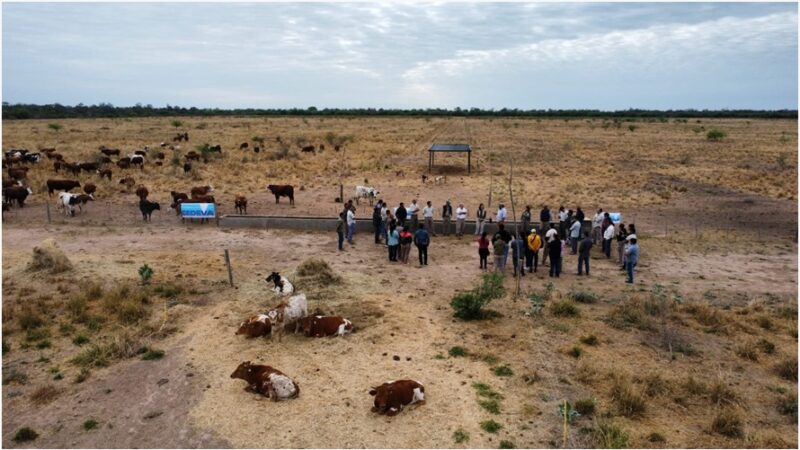 CEDEVA de Laguna Yema capacitó en ganadería y entregó reproductores caprinos a productores de la zona
