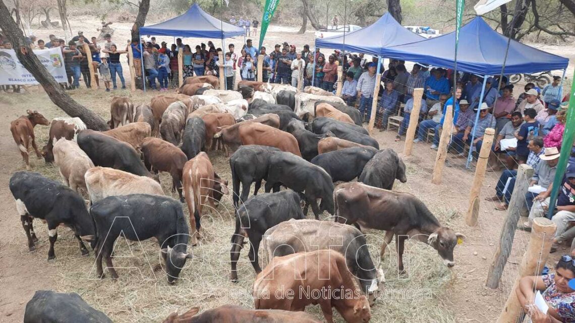 La expo apícola y la feria ganadera en Lote 8 mostraron todo el potencial del departamento Ramón Lista
