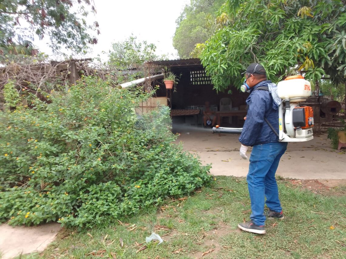 Dengue: Siguen las múltiples acciones de prevención y concientización en toda la provincia