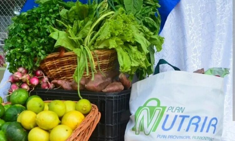 Destacan que los bolsones del Plan Nutrir ayudan a la economía familiar y a una alimentación saludable