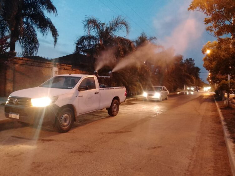 Dengue: “La única forma de ganarle a esta enfermedad es haciendo desaparecer los criaderos”