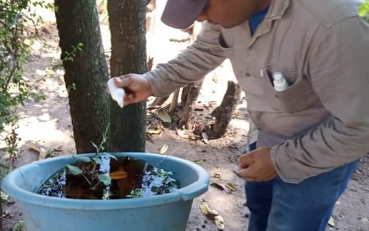 Dengue: Instan a los vecinos a usar el larvicida Bacivec