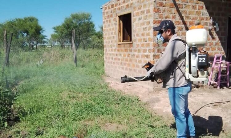 Sin pausa sigue la prevención contra el dengue en el interior