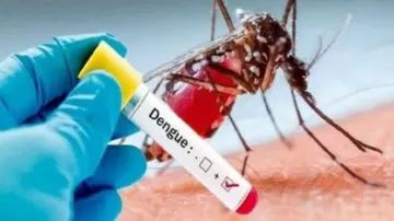 Se registraron 820 nuevos casos de dengue en la provincia