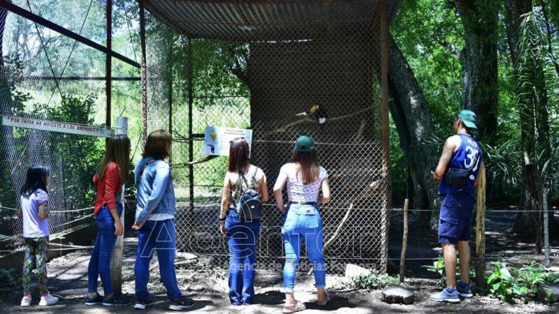Reserva Guaycolec, una de las opciones para visitar en estas vacaciones
