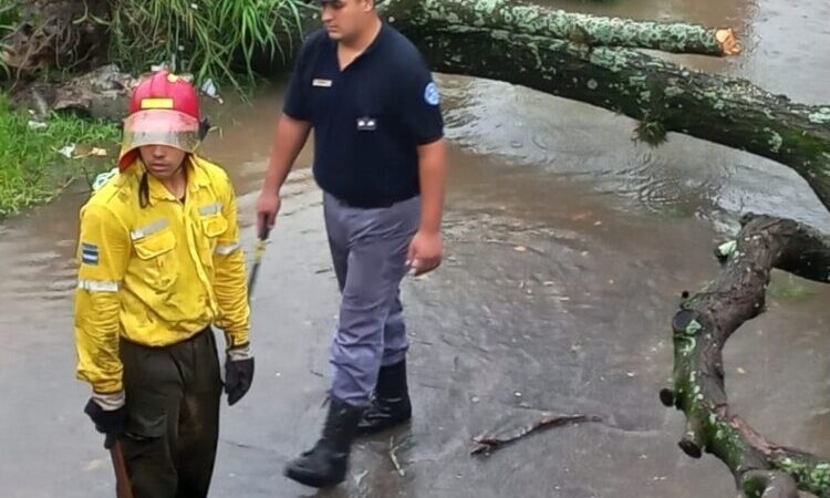 Rápido y coordinado trabajo de la Policía de Formosa ante el temporal que azotó a la Capital